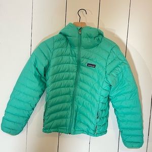 Patagonia Puff Hoody